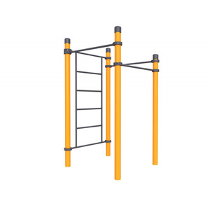 Воркаут «Комплекс 3 турника и шведская стенка Тесей»